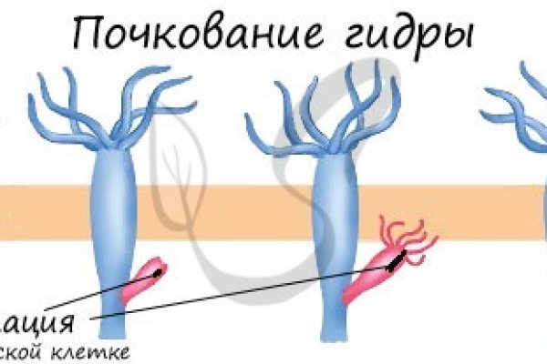 Кракен площадка торговая kr2web in