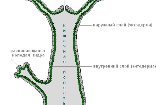 Что такое кракен наркотик