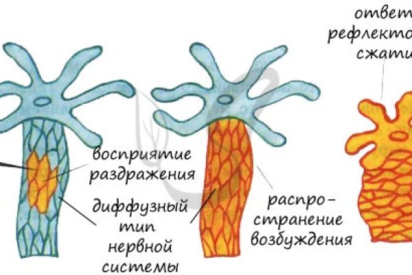 Кракен krakens13 at